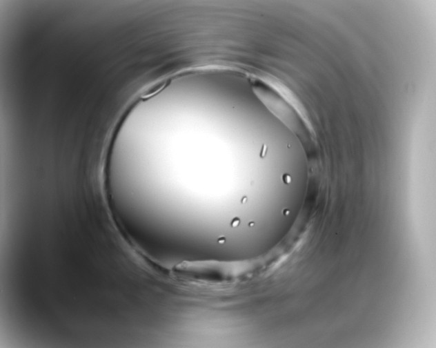 X0000088421197200706051206