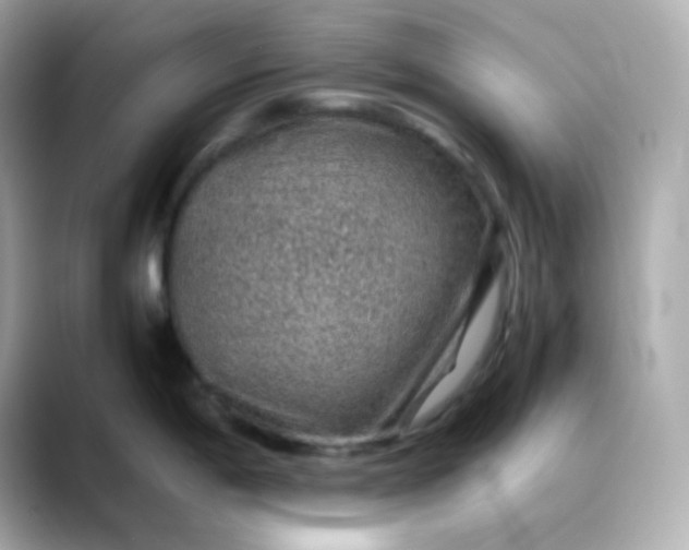 X0000088421198200706051206
