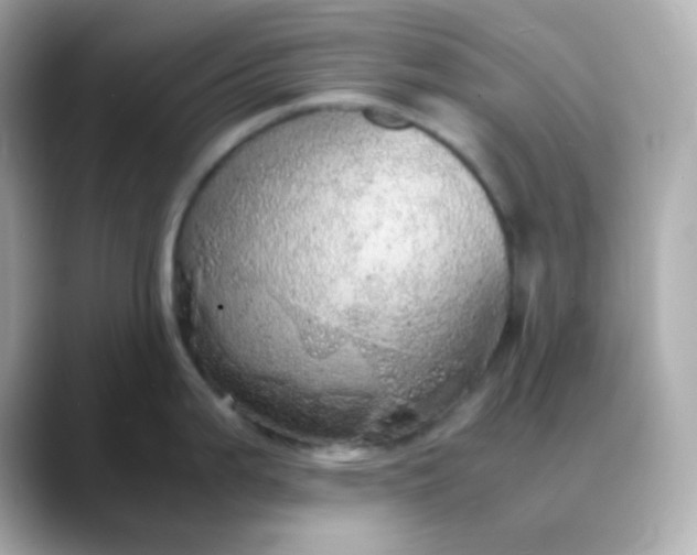 X0000088421199200706051206