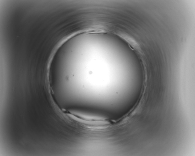 X0000088421200200706051206