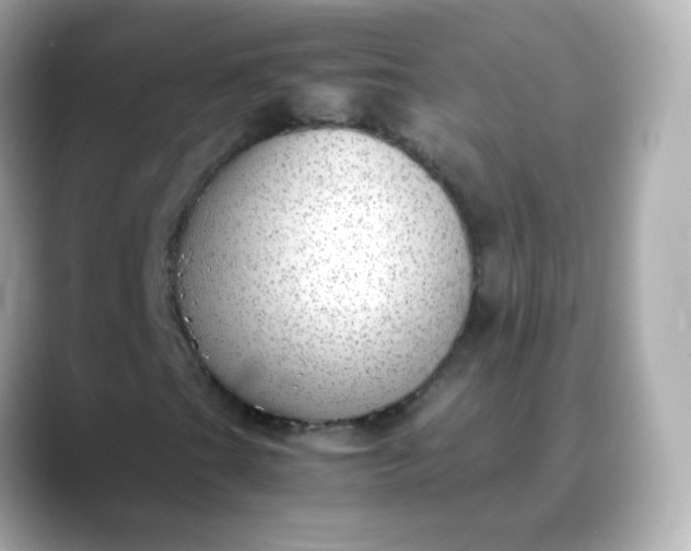 X0000088421201200706051205