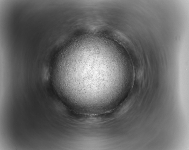 X0000088421204200706051205