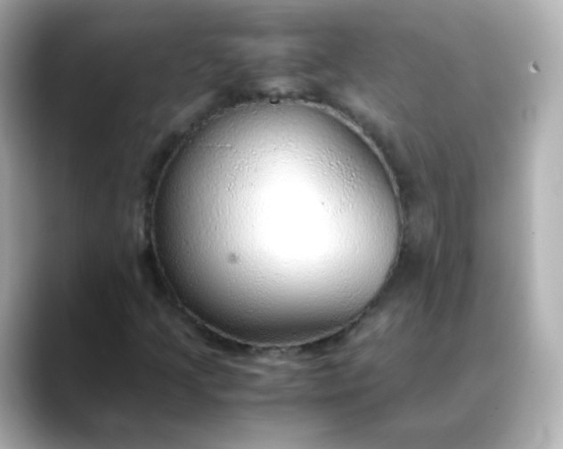 X0000088421205200706051205
