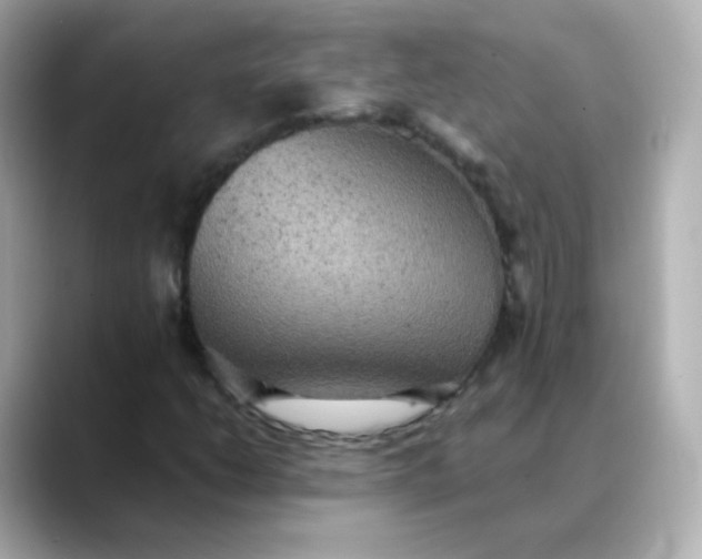 X0000088421206200706051205