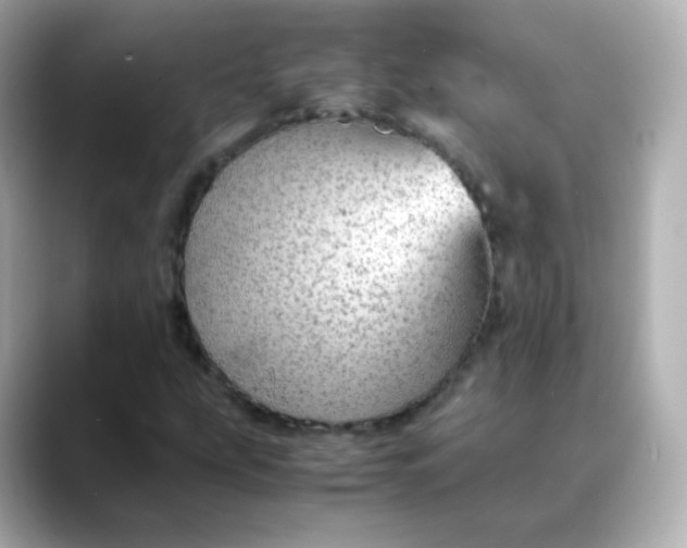 X0000088421207200706051205