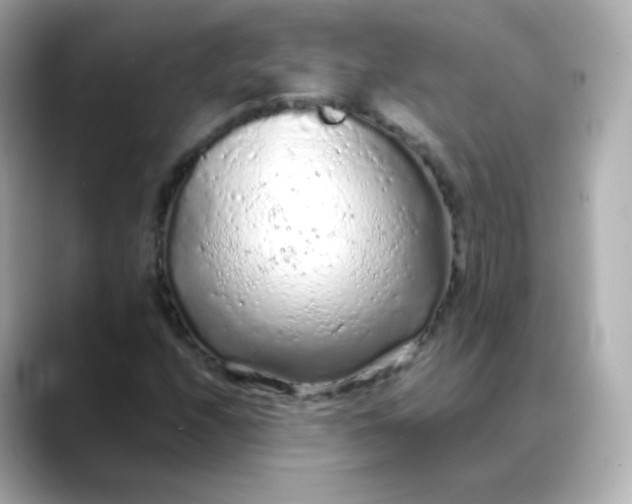 X0000088421208200706051205