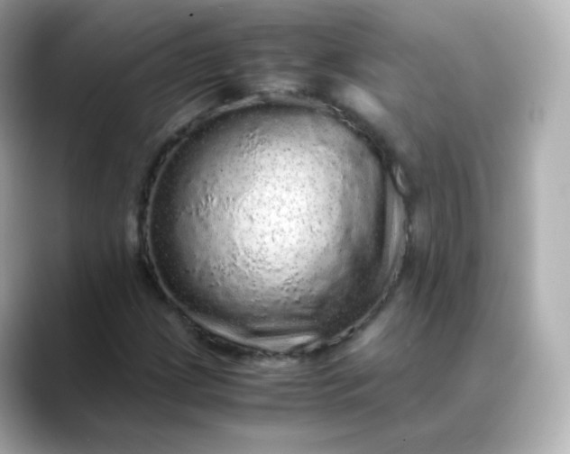 X0000088421209200706051205