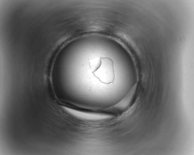 X0000088421210200706051205