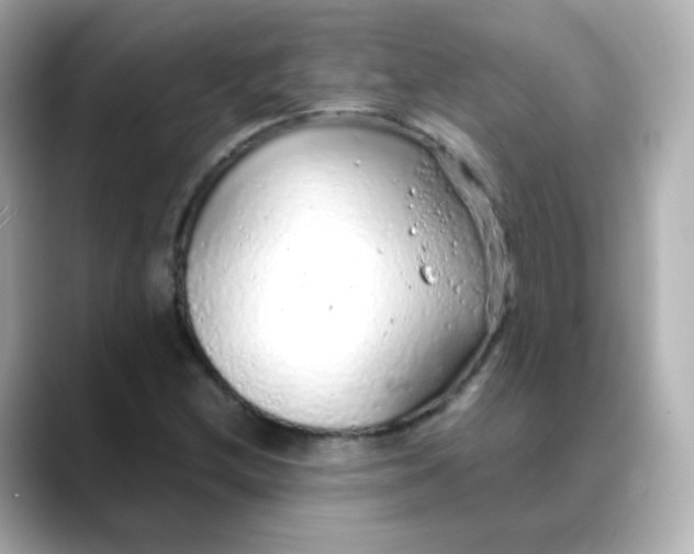 X0000088421212200706051205
