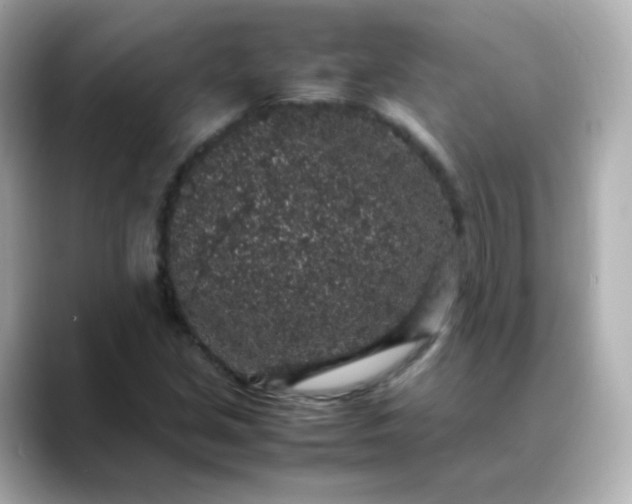 X0000088421213200706051205