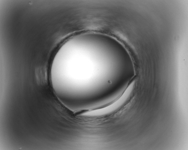 X0000088421214200706051205