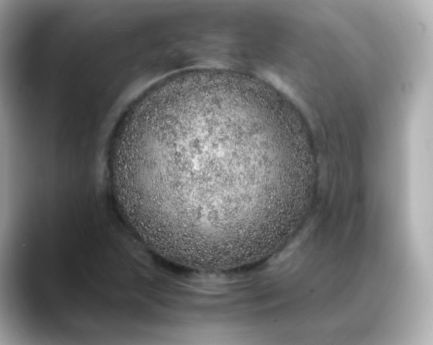X0000088421215200706051205