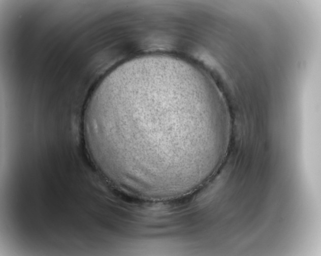X0000088421217200706051205