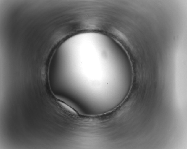 X0000088421218200706051205
