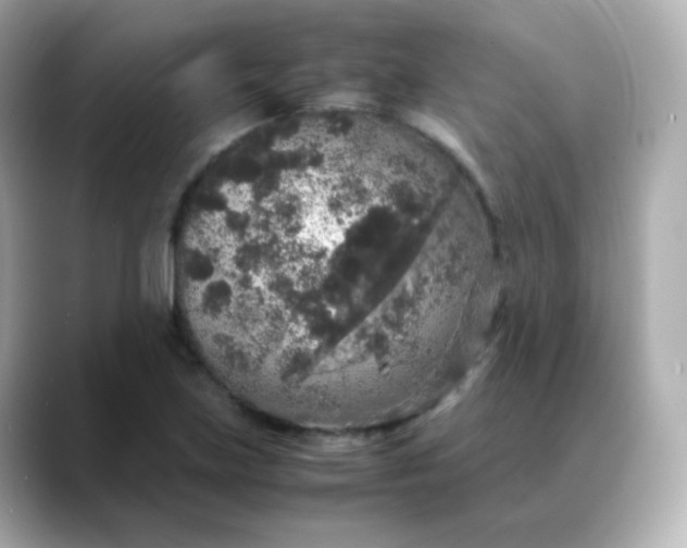 X0000088421219200706051205