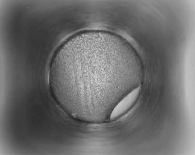 X0000088421224200706051206