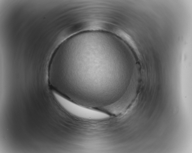 X0000088421226200706051206