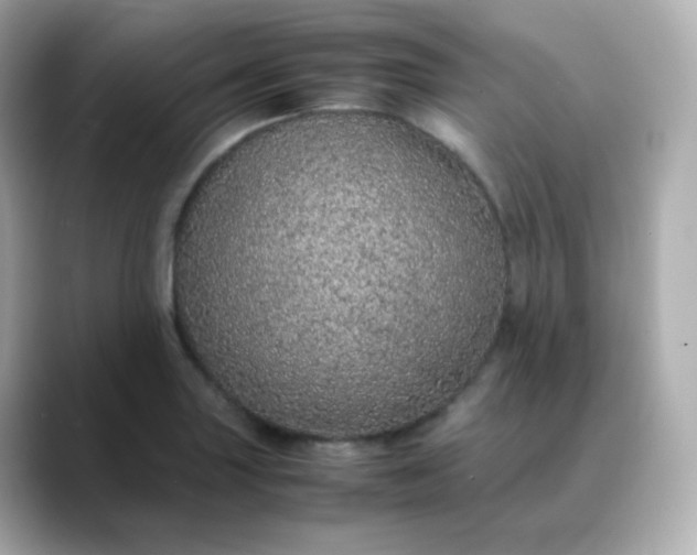 X0000088421227200706051206
