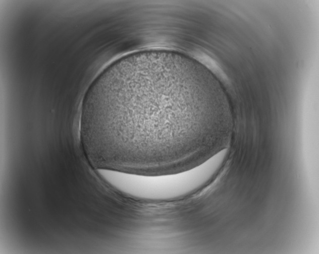 X0000088421228200706051206