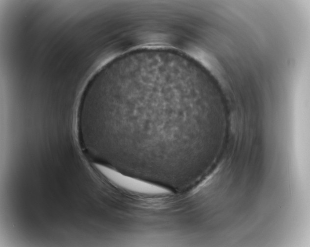 X0000088421229200706051206