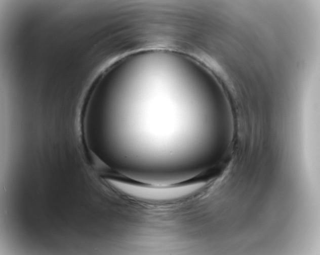 X0000088421230200706051206