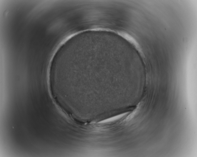 X0000088421231200706051206