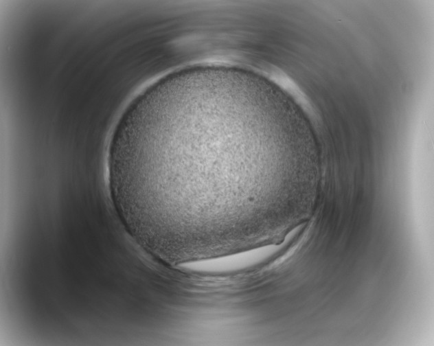 X0000088421232200706051206