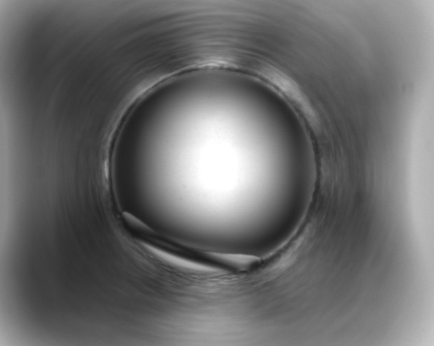 X0000088421234200706051206