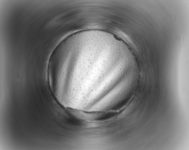 X0000088421236200706051206