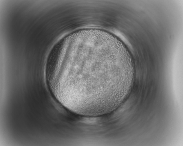 X0000088421237200706051206