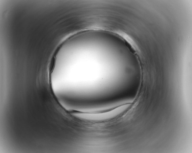 X0000088421238200706051206