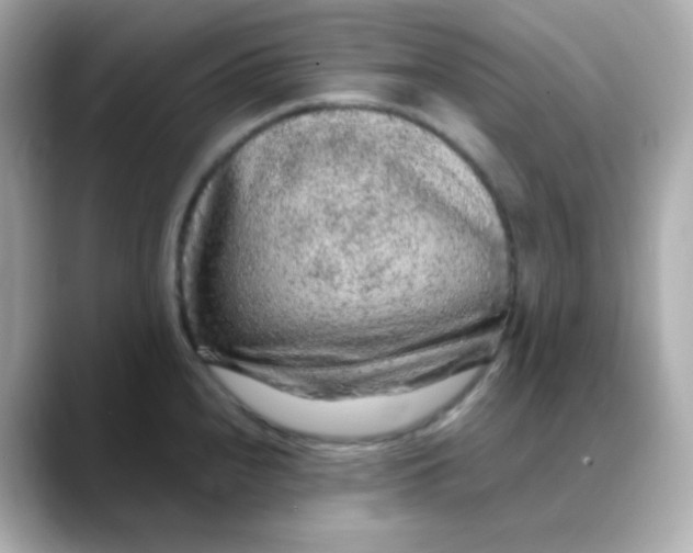 X0000088421240200706051206