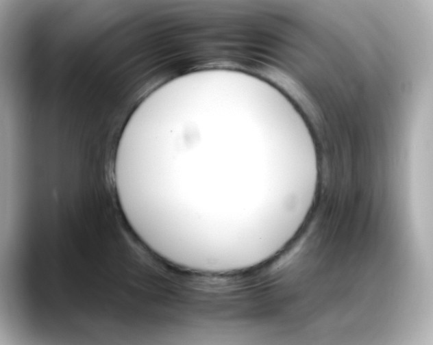 X0000088421241200706051206