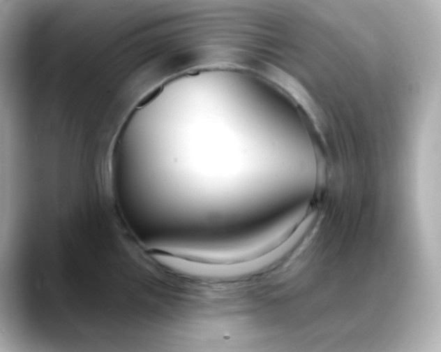 X0000088421242200706051206