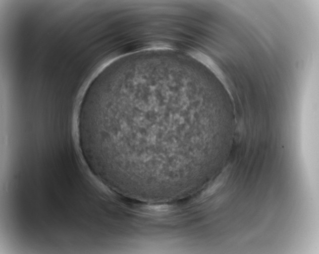 X0000088421243200706051206