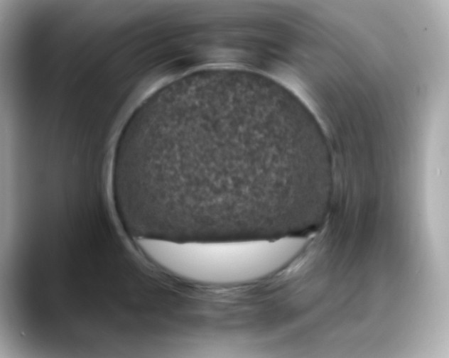 X0000088421245200706051206