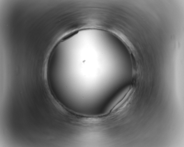 X0000088421246200706051206