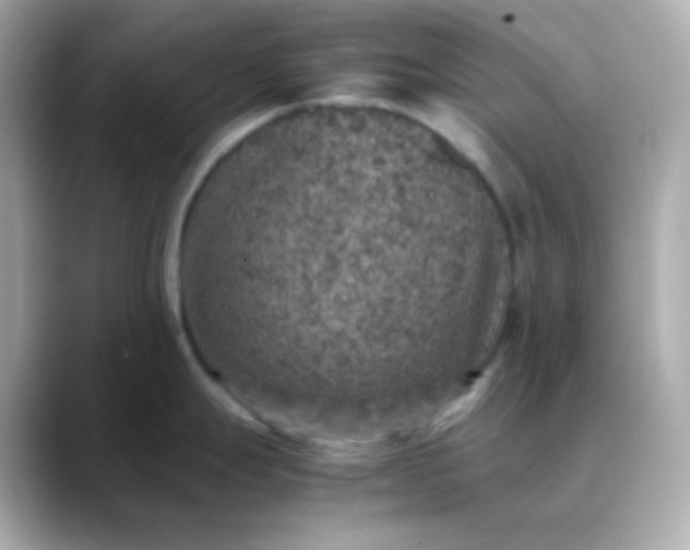 X0000088421247200706051206