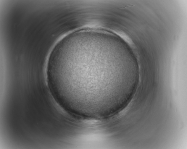 X0000088421248200706051206