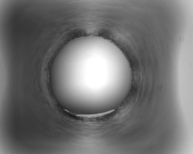 X0000088421249200706051205