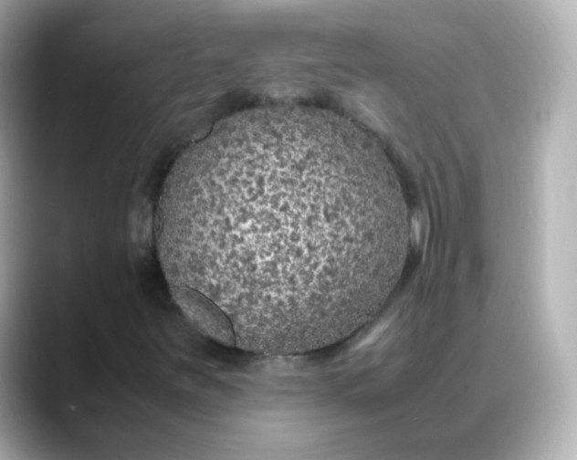 X0000088421251200706051205