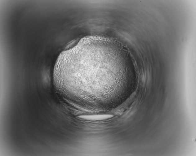 X0000088421252200706051205