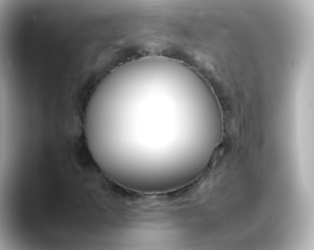X0000088421253200706051205