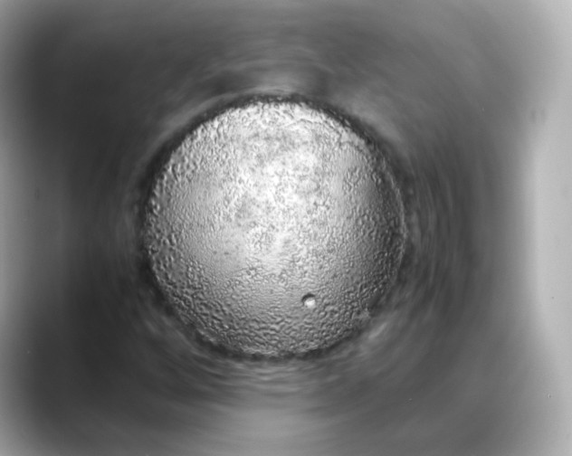 X0000088421256200706051205