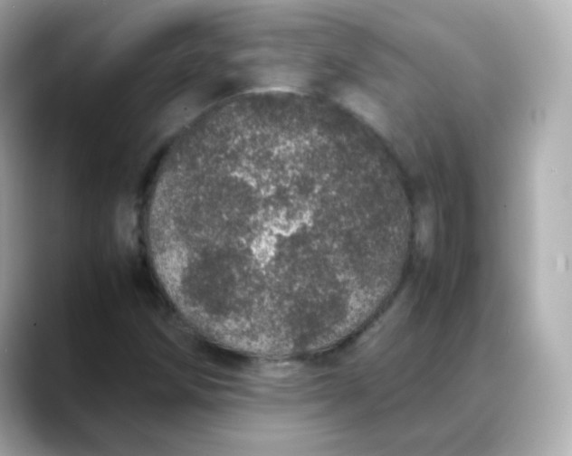 X0000088421258200706051205