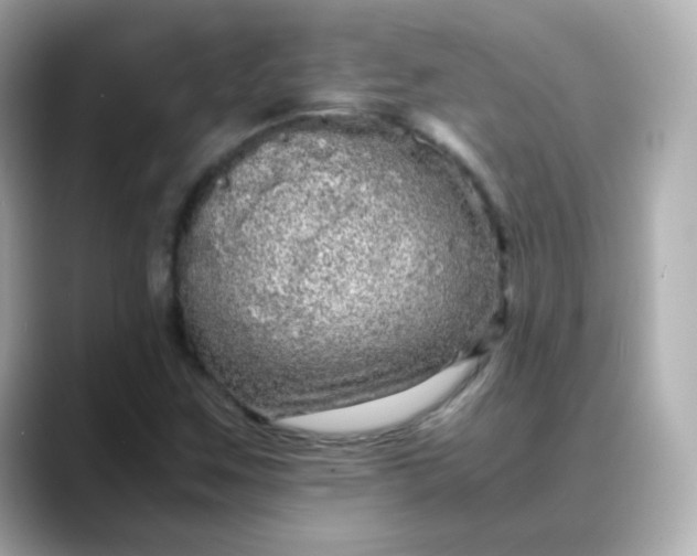 X0000088421259200706051205