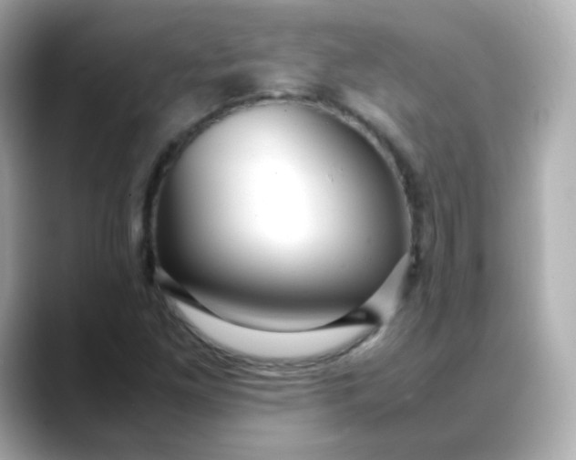 X0000088421261200706051205