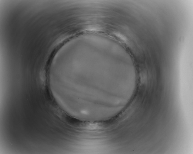 X0000088421266200706051205