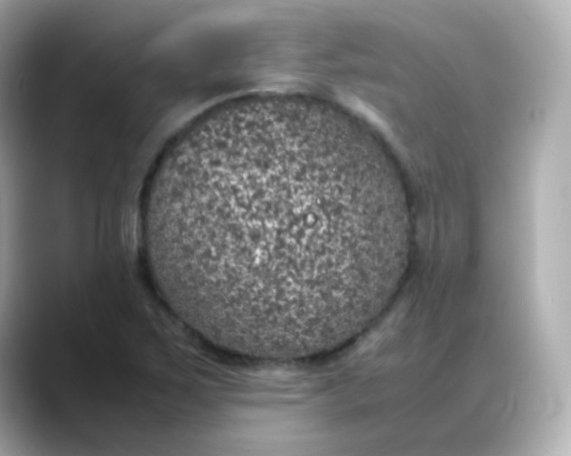 X0000088421267200706051205