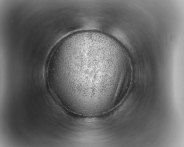 X0000088421268200706051205